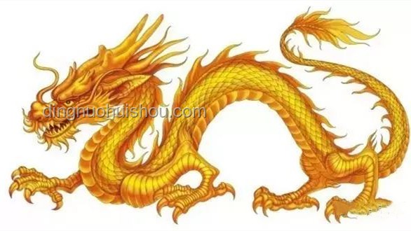 龍鱗鯉真相：近純黑鯉魚非“化龍失敗”，價值幾何？