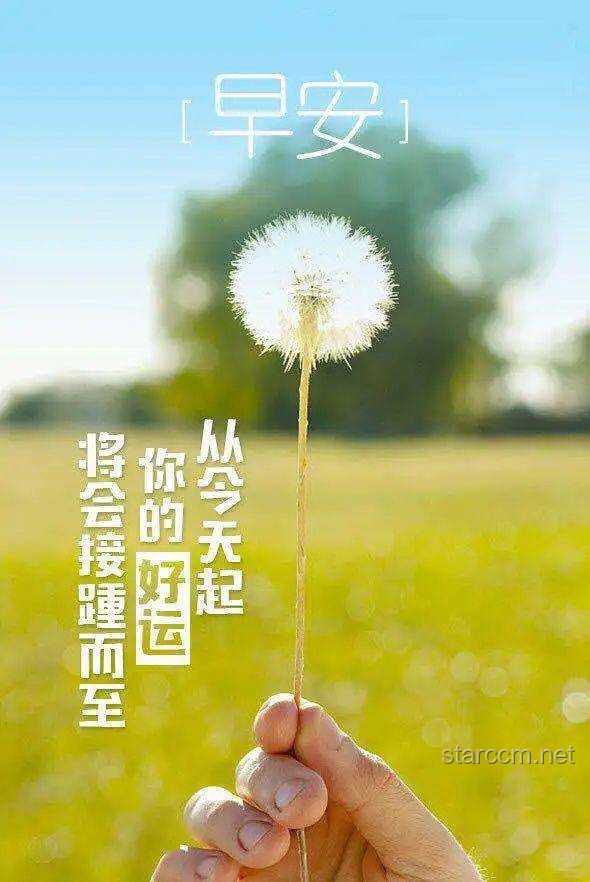 早上起來這樣發，朋友圈會被贊爆！?正能量, 生活美學, 情感共鳴, 創意分享