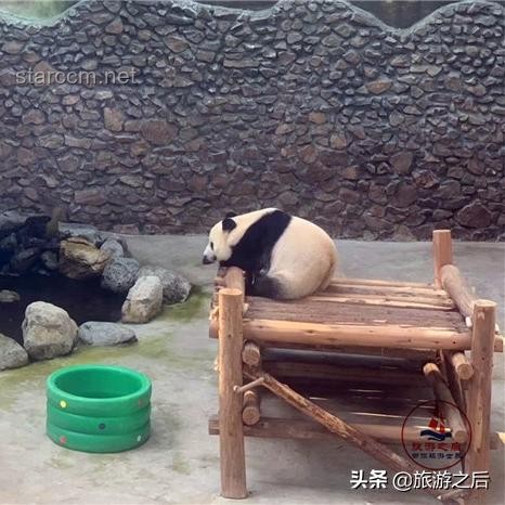 神農架景區“野人”招聘背后的旅游經濟洞察