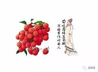 一騎紅塵妃子笑：荔枝背后的歷史、文化與行業趨勢