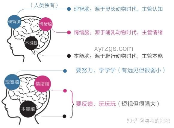 情緒背后的認知覺醒??：你情緒不好，是因為認知不夠