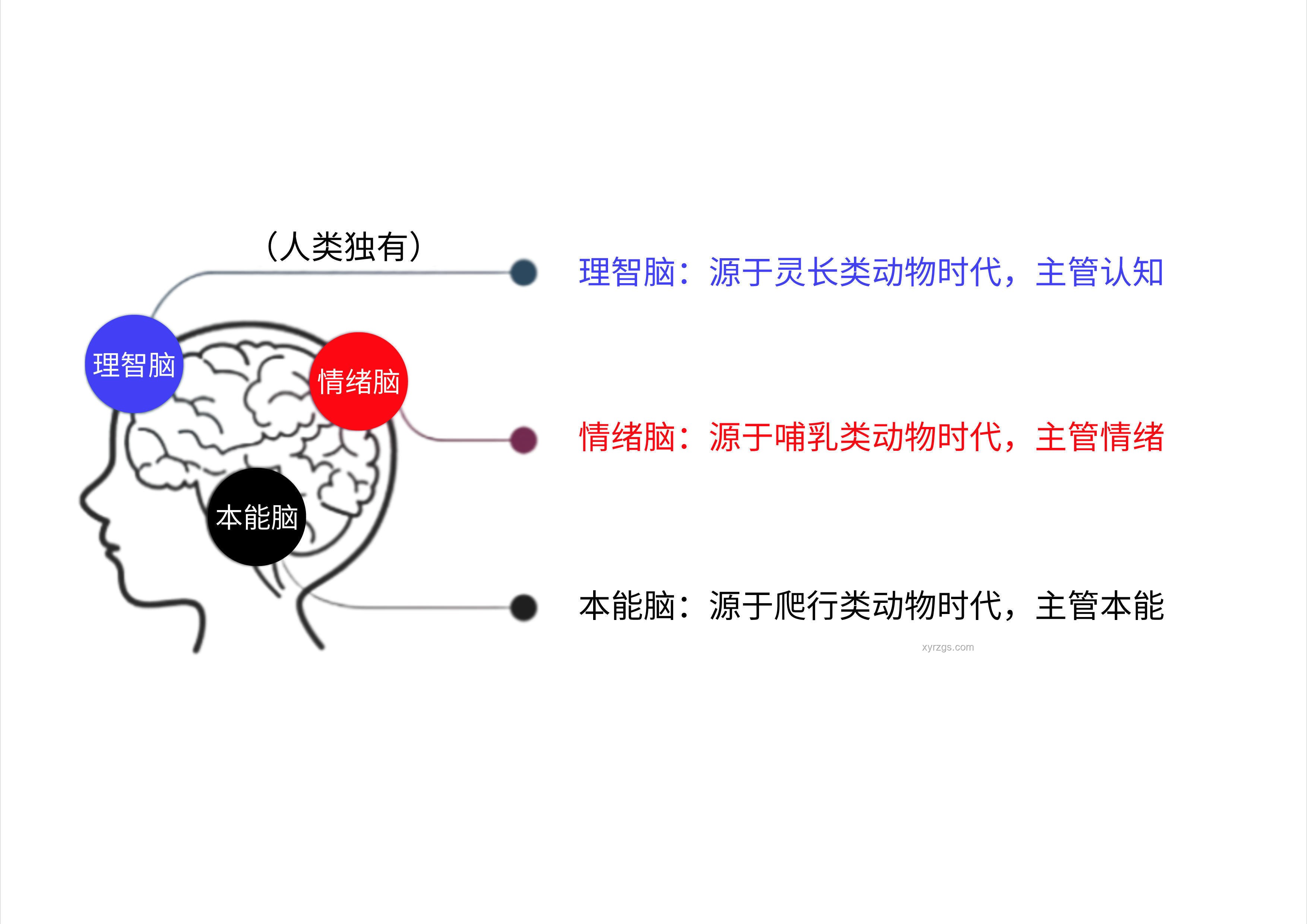 情緒背后的認知覺醒??：你情緒不好，是因為認知不夠