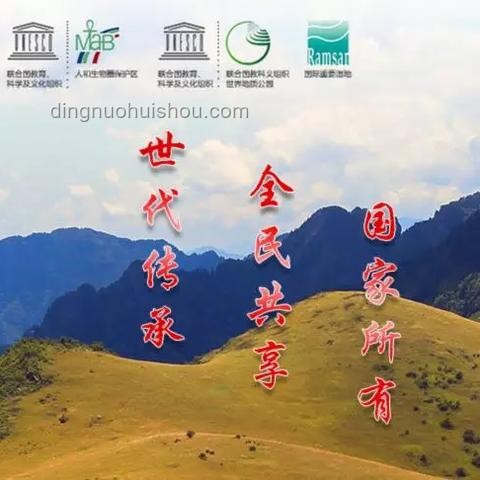 前5月中美貿易總值對比分析，下降8.1%背后的原因