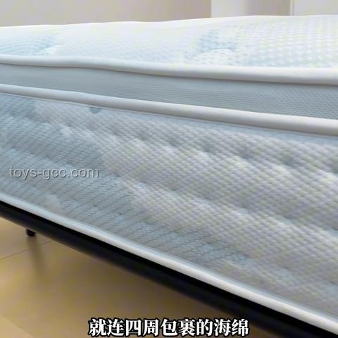 慕思金管家：高效創除螨世界紀錄實操指南
