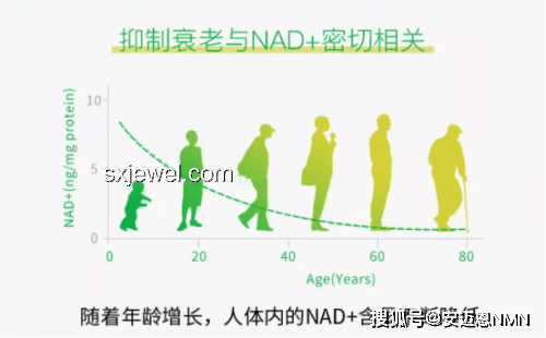 物化生領域早出晚歸現象深度剖析