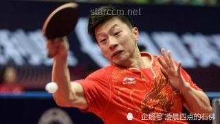 樊振東乒超大逆轉對比分析：戰術、心態與對手應對