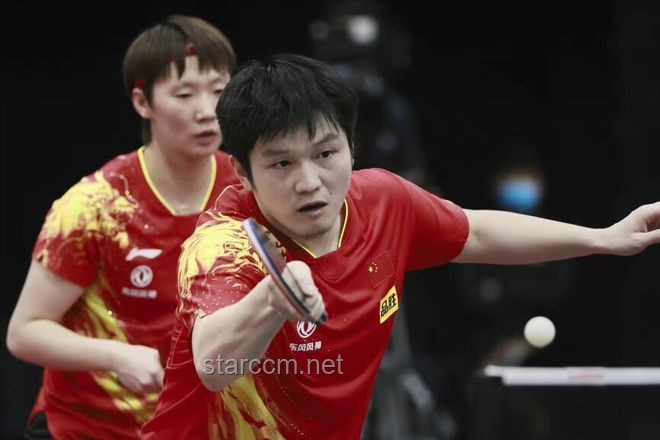 樊振東乒超大逆轉對比分析：戰術、心態與對手應對