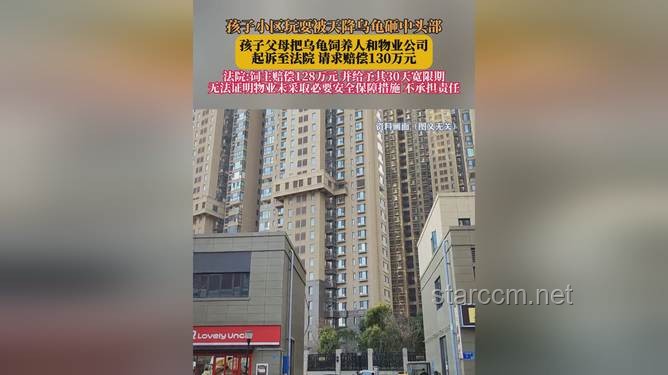 小孩被天降烏龜砸死，飼主賠償128萬的警示