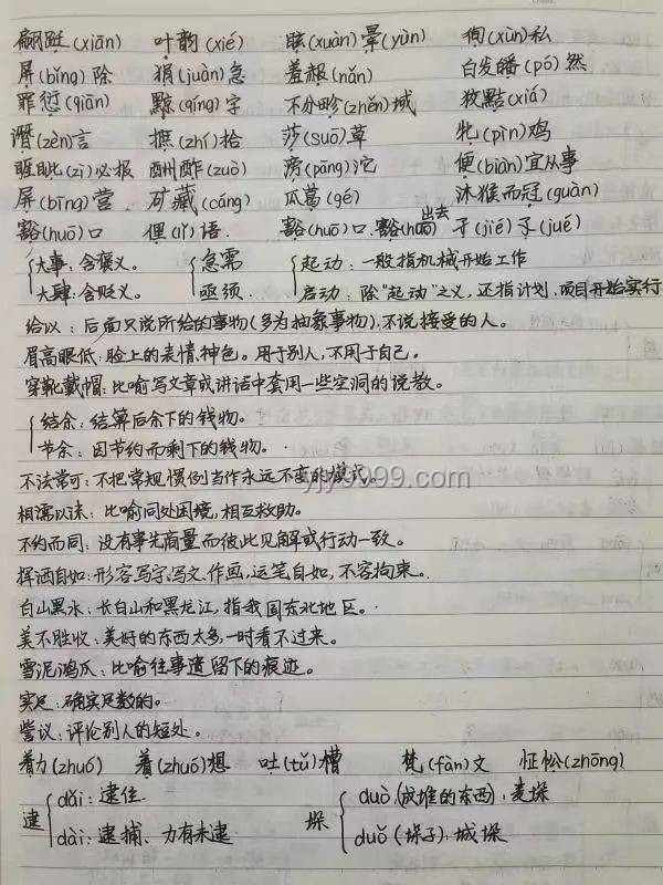 高考情感消費升溫：燒烤花背后的家庭情感經(jīng)濟洞察