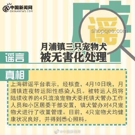 陳夢辟謠400億傳聞：實操指南應對網絡謠言