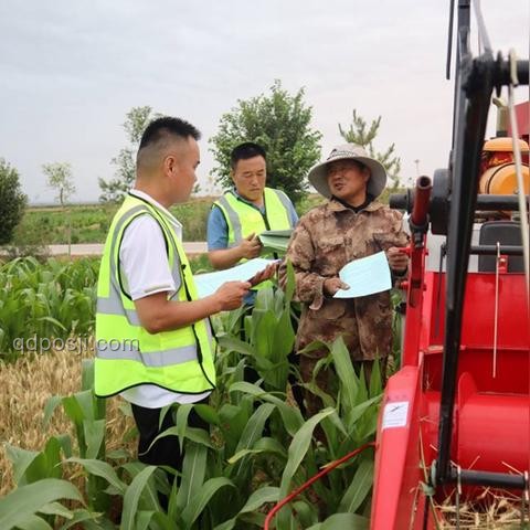 95后女農機手與傳統麥收方式的成就感對比