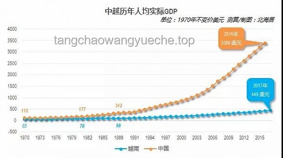 龍葵文化現象畢業轉場趨勢預測