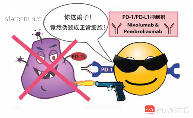 克服邪氣負能量：有效管理“著急”情緒指南