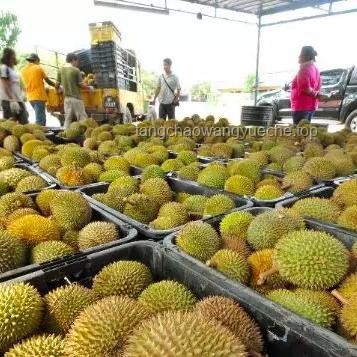 暴跌的榴蓮：背后原因與行業趨勢深度剖析