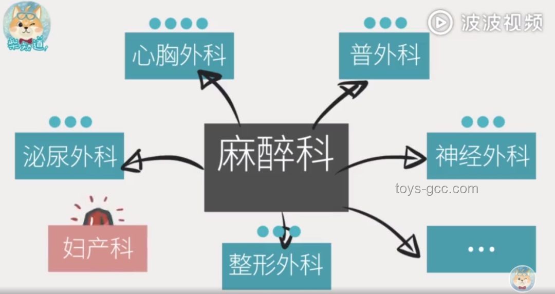 女子自主決定無痛分娩：未來醫療自主權的趨勢預測