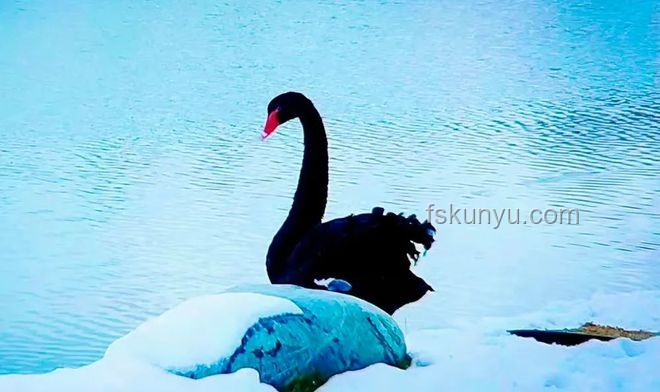 臺網紅館長上海美食體驗：被投喂“三件套”