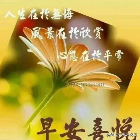 火車疾馳，鐵軌安然：揭秘磨損之謎?????
