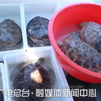 ??《歸環》首曝震撼，時間循環的魅力無限！