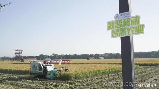 中國田間好豐景：智慧農業助力鄉村振興案例研究