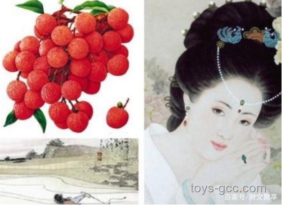 長安的荔枝：唐代皇家珍饈背后的故事