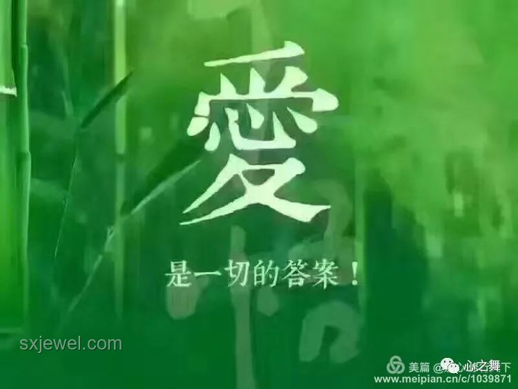 特朗普式寬容：如何理解并應用“可以原諒馬斯克”的智慧