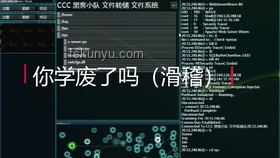 "bro的結局"：不同人生路徑的深度對比分析