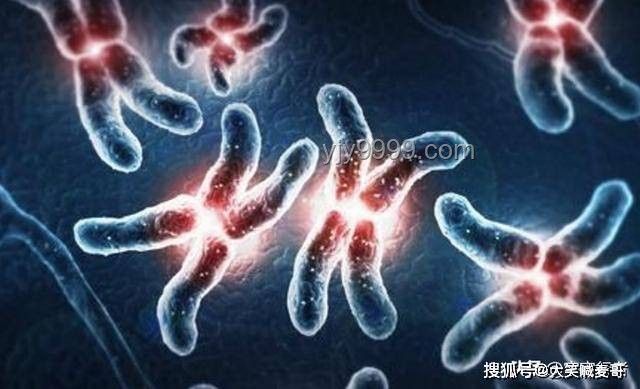 人類(lèi)與螨蟲(chóng)共生：一生的微觀伴侶【基德】