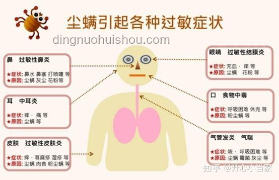 螨蟲同殺行業深度洞察：人類與螨蟲共存的智慧之戰