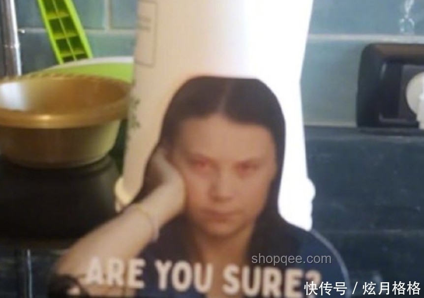 “環保少女”與以色列：一次行動引發的對比分析