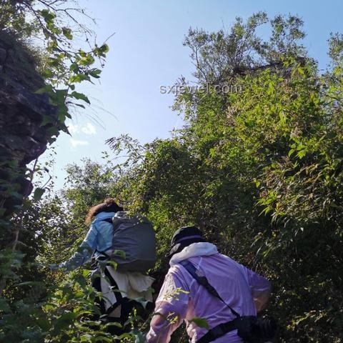 大汗淋漓背后的秘密：有氧運動與暴曬的減肥差異解析