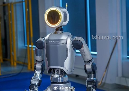 人形機(jī)器人現(xiàn)階段的最大痛點(diǎn)分析