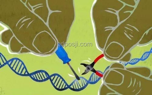 中國科學家首證史前母系社會，Nature成果重大意義解析
