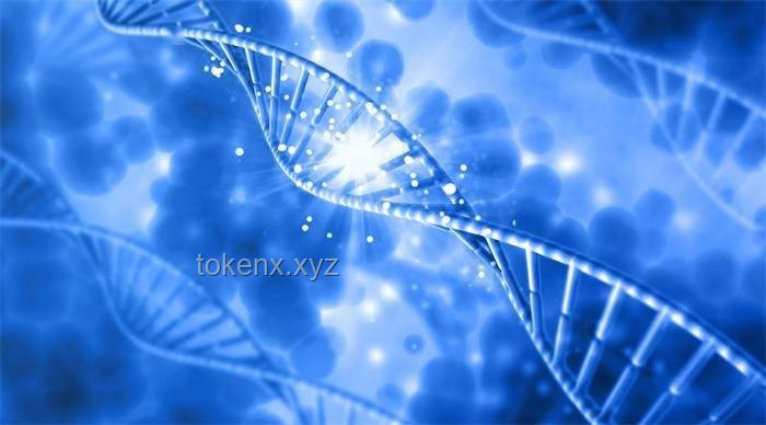 中國(guó)史前母系社會(huì)的基因密碼：Nature見(jiàn)證的創(chuàng)新考古