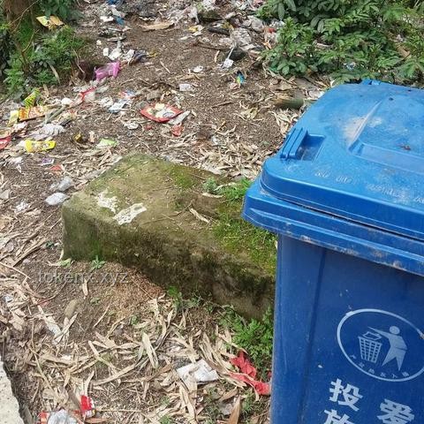 中國(guó)的垃圾真不夠燒了嗎？焚燒垃圾的好處與背后利益