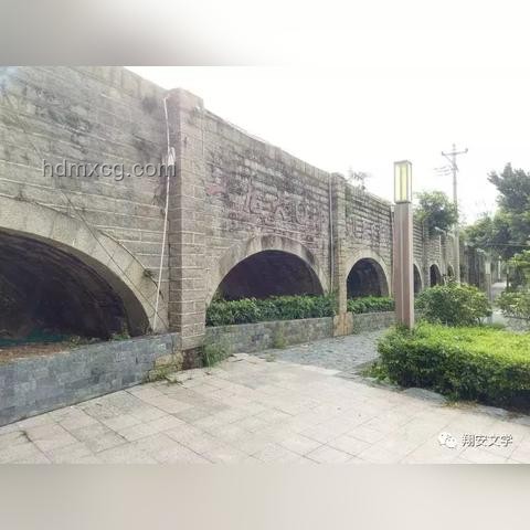 水庫改名浪潮：湖化趨勢下的生態與經濟雙贏預測