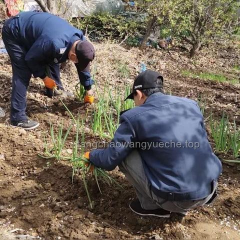 入戶大廳腳臭味難題：物業管理挑戰與解決之道
