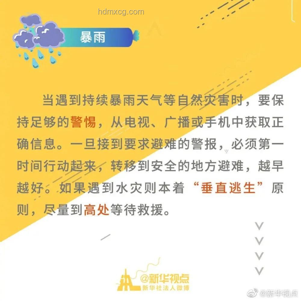 臺風蝴蝶海南東方登陸案例研究：應急響應與防災減災