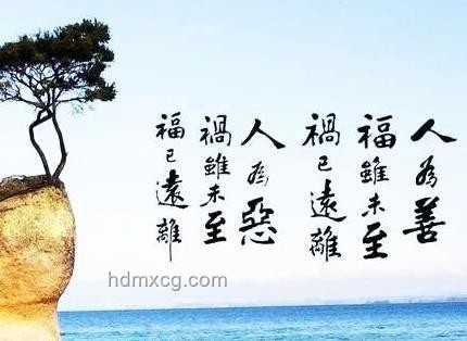 真誠善良，志趣相投的人最吸引我??