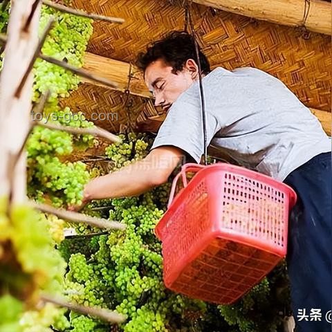 你以為很臟，其實(shí)很干凈VS你認(rèn)為干凈，實(shí)則臟的生活習(xí)慣對(duì)比