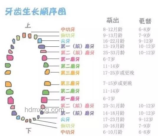 口腔健康習慣對比：睡前刷牙與早起飲食順序