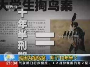 月入5萬女生跨界陪父掏糞：創(chuàng)新價值重塑之旅