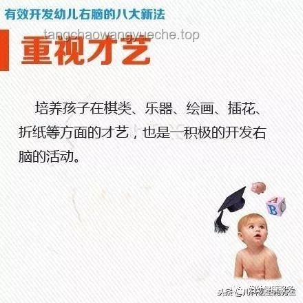 清華爸爸育兒新法：跨界融合，智慧帶娃！
