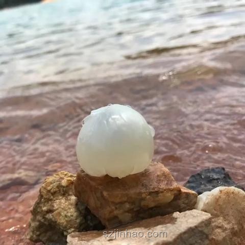 電視劇《長(zhǎng)安的荔枝》中職場(chǎng)人共鳴的深刻情節(jié)剖析