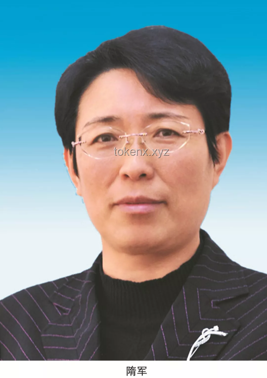 盧東亮當選山西省省長案例研究：年輕領導者的崛起與施政策略