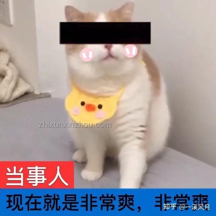 你堅持了哪些好習慣來變美？多維度習慣對比分析