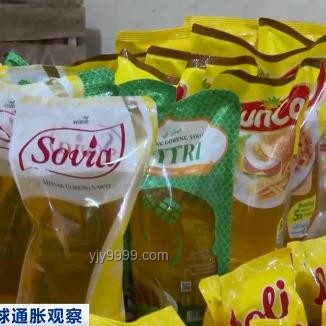 多地“國補”暫停？權威解析與未來展望