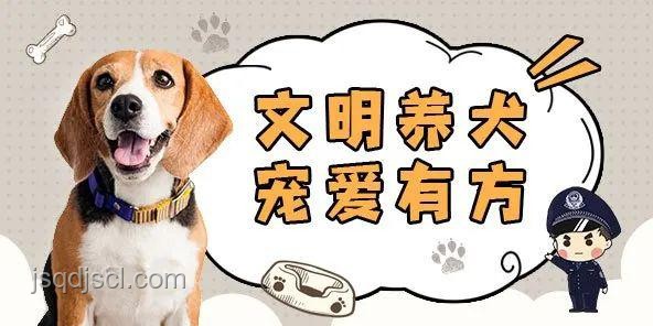 男子教唆犬只攻擊行為與正常寵物狗互動的對比分析