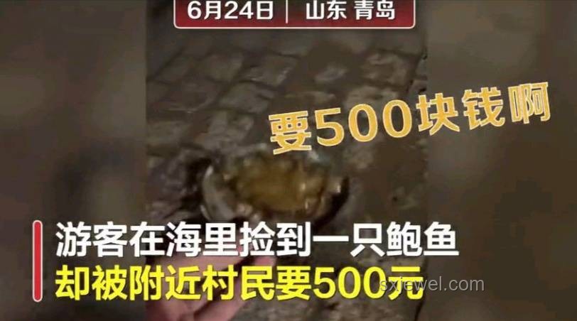 57歲影帝偷海膽被抓事件分析及道歉影響研究
