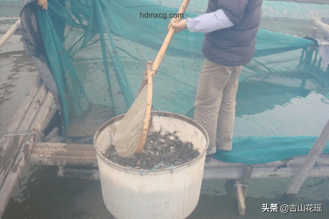 汪峰寧靜牽手事件應(yīng)對策略