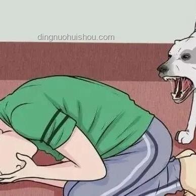 湖南惡犬傷人事件應對指南：保護自身安全